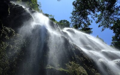 Kawasan Falls – Three Rules That Still Haven’t Changed